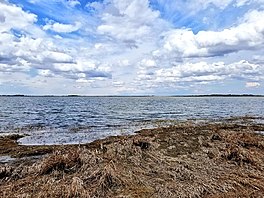 Pantai tenggara Danau Garam, Minnesota.jpg