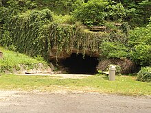Entrance to cave with many plants and vines growing around it