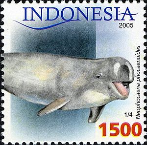 Porpoise (Neophocaena phocaenoides) on an Indonesian postage stamp