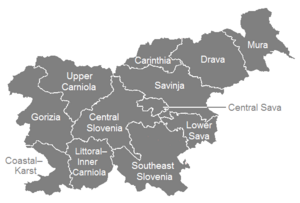 Statistical regions of Slovenia English.PNG