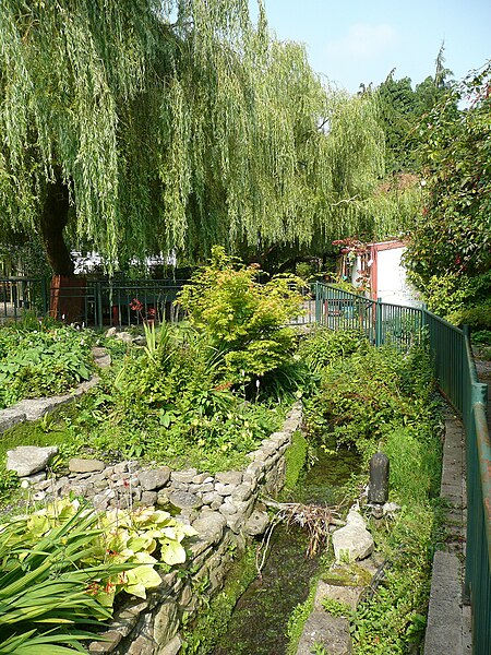 File:Stream in The Water Garden, Thomastown - geograph.org.uk - 4452698.jpg