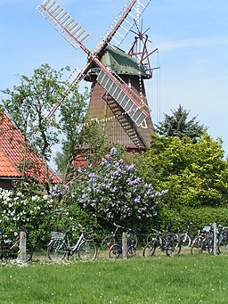 Sulingen Windmühle Labbus