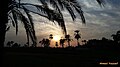 Sunset in Manqabad Upper Egypt.jpg