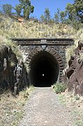 Swan View Tunnel