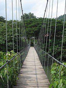 Suspension Bridge