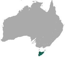 Tasmanian Pademelon area.png