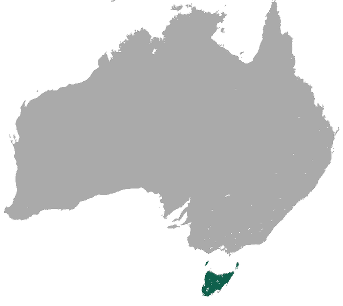 File:Tasmanian Pademelon area.png