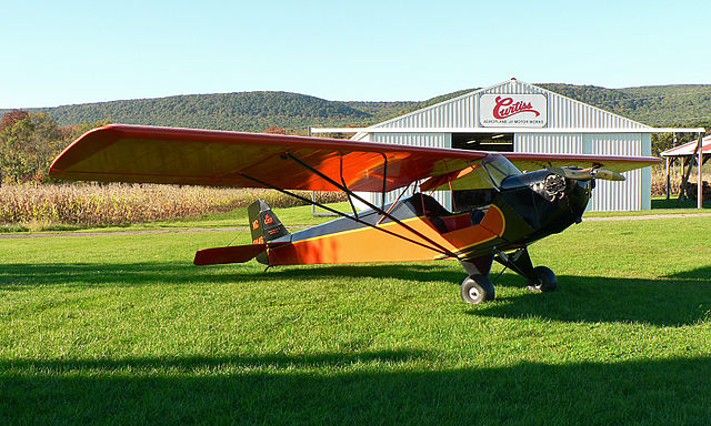 Taylor Cub