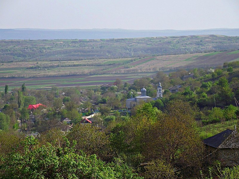 File:Telenești District, Moldova - panoramio (10).jpg