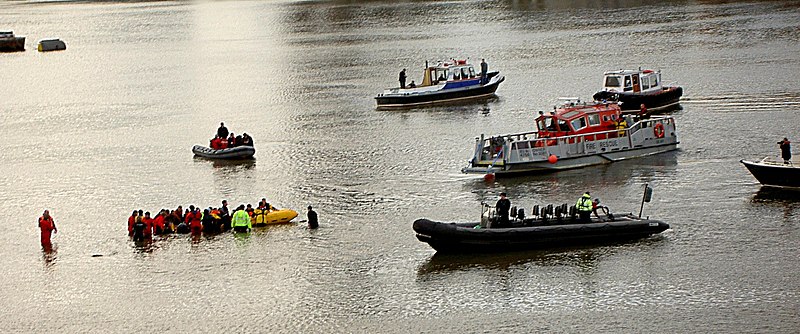 File:Thames Whale Rescue.jpg