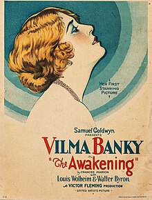 Description de l'image The Awakening (1928 film) Window Card (cropped).jpg.