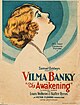 The Awakening (1928 film)