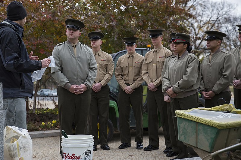 File:The Flanders Field Project 131112-M-FY706-018.jpg