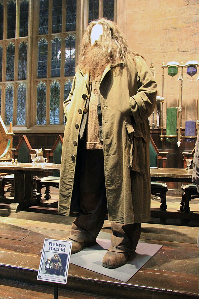 binnenvallen Punt Republiek Rubeus Hagrid - Wikipedia