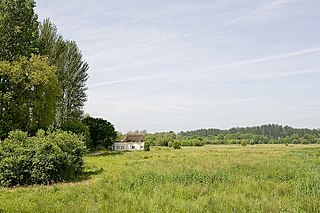 <span class="mw-page-title-main">Chilbolton Common</span> UK Site of Special Scientific Interest