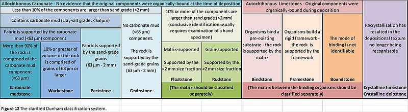 File:The Rebooted Dunham Classification.jpg