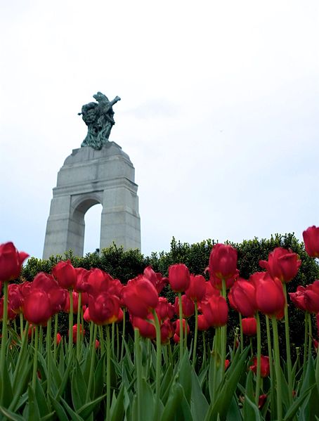 File:The Response, National War Memorial and the red tulips.jpg