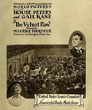 <i>The Velvet Paw</i> 1916 film by Maurice Tourneur