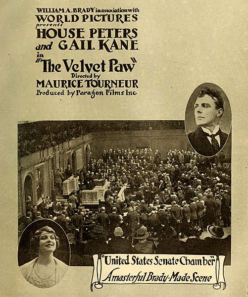 The Velvet Paw (1916)