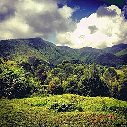 The lush, emerald-green hills enveloping Kilungutwe, January 2014