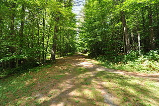Thetford Hill State Park