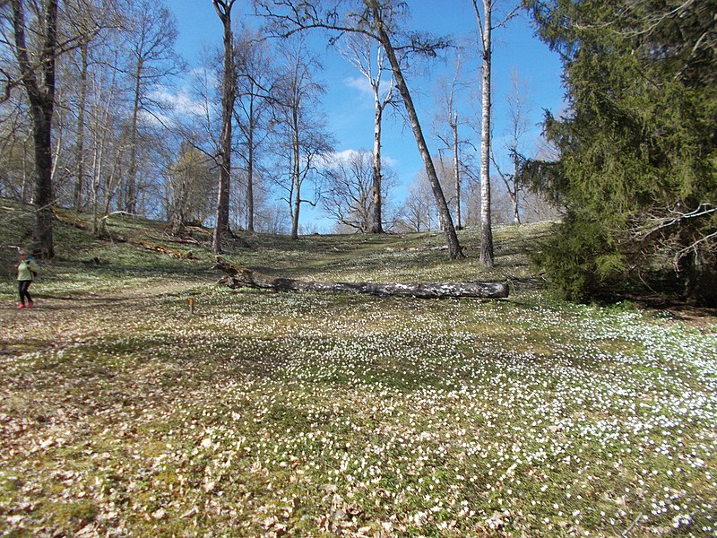 File:Tjälvesta naturreservat.jpg