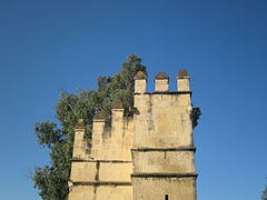 Башня Львов (2)