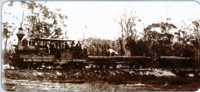 Thumbnail for File:Tramway of British Australian Timber Company (BAT Co) alongside Creek Road in Woolgoolga (ARHS NSW Division).png