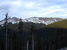 In this view of an alpine tree line, the distant line looks particularly sharp. The foreground shows the transition from trees to no trees. These trees are stunted in growth and one-sided because of cold and constant wind. Tree line.jpg