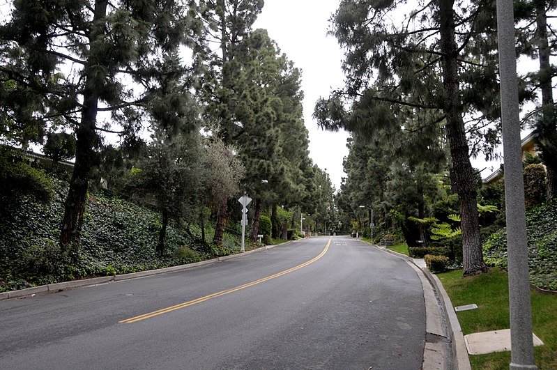 File:Trousdale-Loma Vista Dr looking North from corner of Chalette Dr 2015.jpg