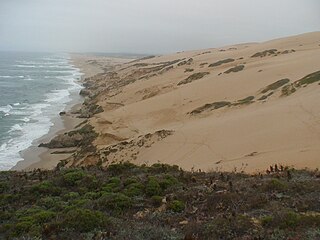Guadalupe-Nipomo Dunes Dune system in California