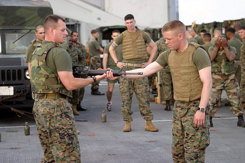 File:US Navy 040220-M-4806Y-021 U.S. Marine Corps Sgt. Mathew Duganier and 2nd Lt. Brian Donlon, both assigned to 2-6 Echo Company II Marine Expeditionary Force (MEF) demonstrate martial art techniques.jpg