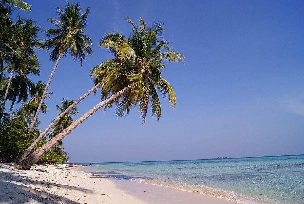 Îles Karimunjawa  Wikipédia