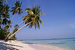 Ujung Gelam Beach Karimun Jawa 3.JPG