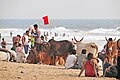 Une plage de Goa (Inde) (13645406974).jpg