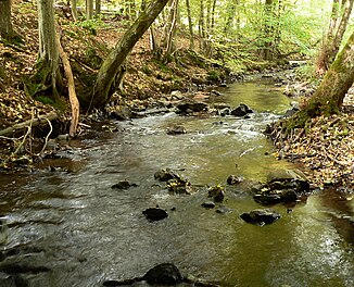 The Urff near Oberurff-Schiffelborn