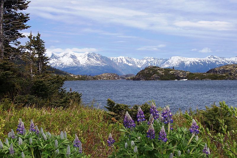 File:VIEW ALONG WHITE PASS AND YUKON STEAM RAILROAD ROUTE, ALASKA.jpg