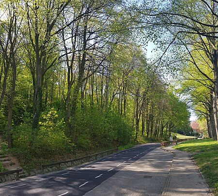 Valkenburg Vogelbos