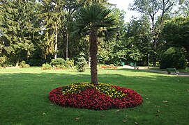 Vesoul İngiliz Bahçesi - Çiçekler 3. JPG