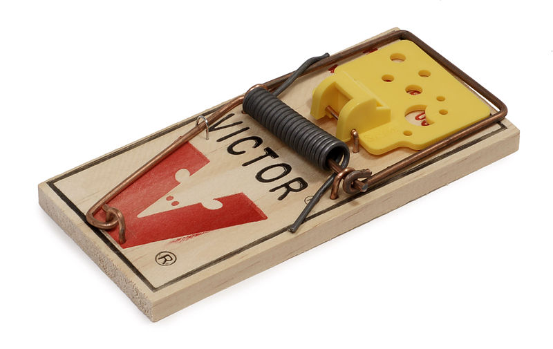 Preventing Accidental Injuries With Mouse Traps  