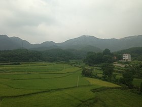 Dawu'dan Xian (Hubei)