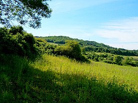 Vista dos campos de Vrčin