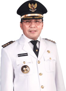 Wali Kota Makassar, M. Ramdhan Pomanto (Periode II).png