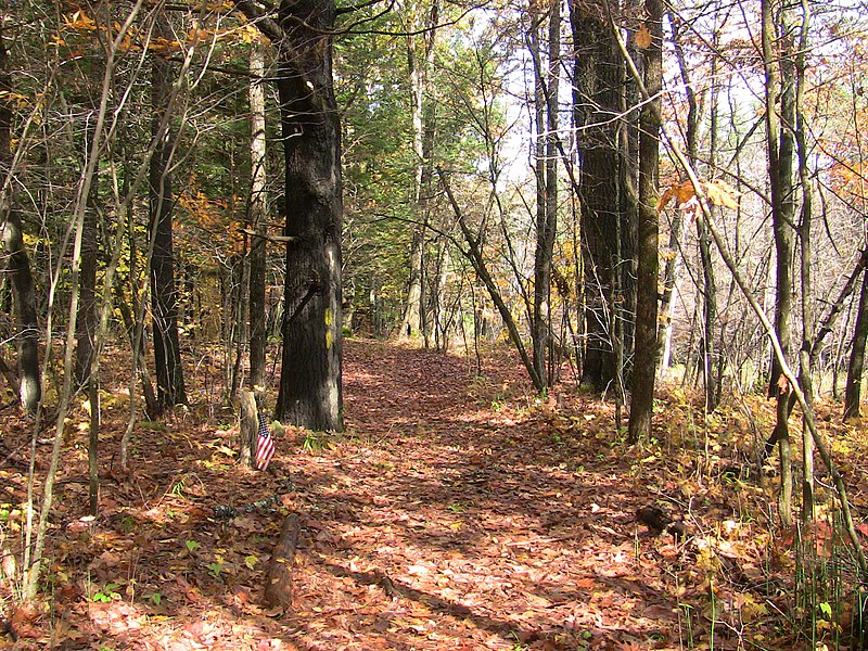 File:Weathersfield-Vermont-Historic-Crown-Point-Road-VT18.jpg