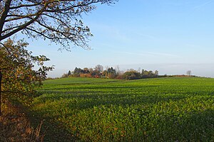 Wetterberg near Reichenberg.jpg