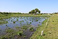 2023年6月23日 (金) 03:34時点における版のサムネイル