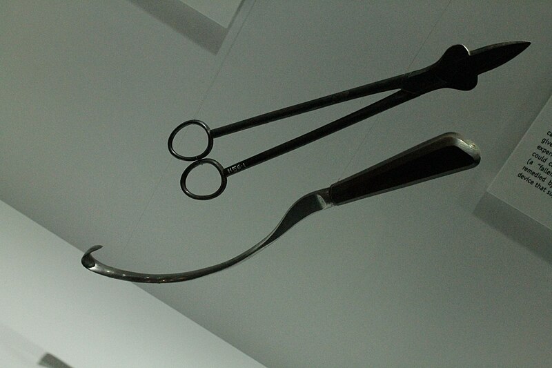 File:William Smellie's surgical instruments, Hunterian Museum, Glasgow.jpg