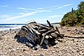 Wreck of sailship Swik grounded 1926 * Wiki Loves Earth 2020