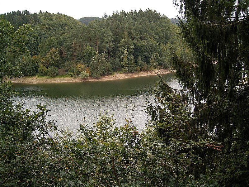 File:Wuppertalsperre - Hückeswagen nahe Am Bilstein 01 ies.jpg