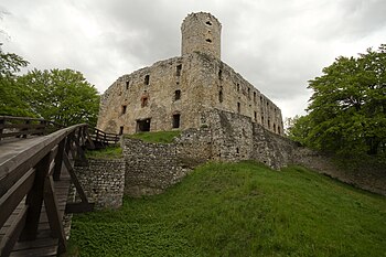 Zříceniny gotického hradu